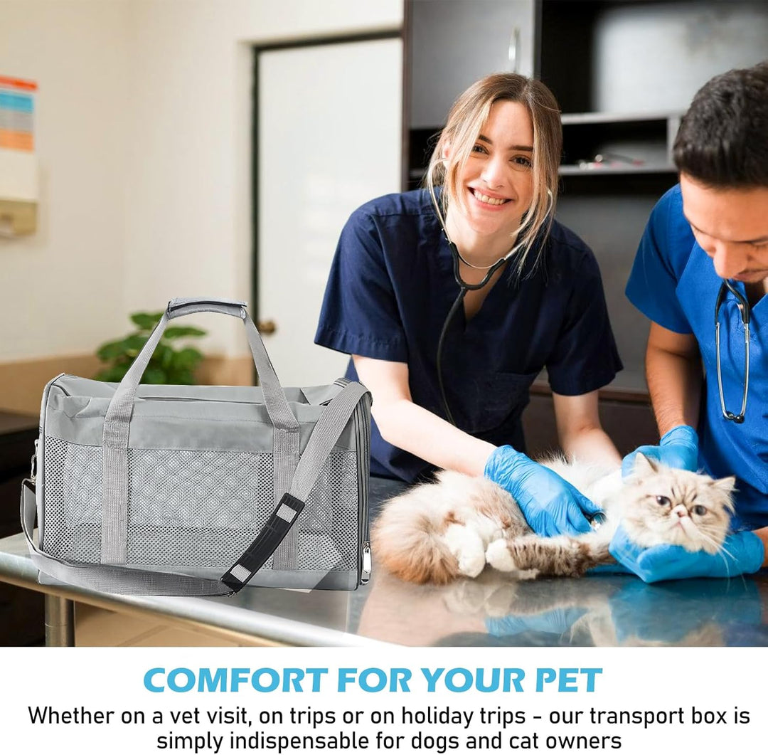 BYZESTY Transportbox Katze Hund Katzentransportbox Hundebox Faltbar Hundetransportbox Katzen Transpo