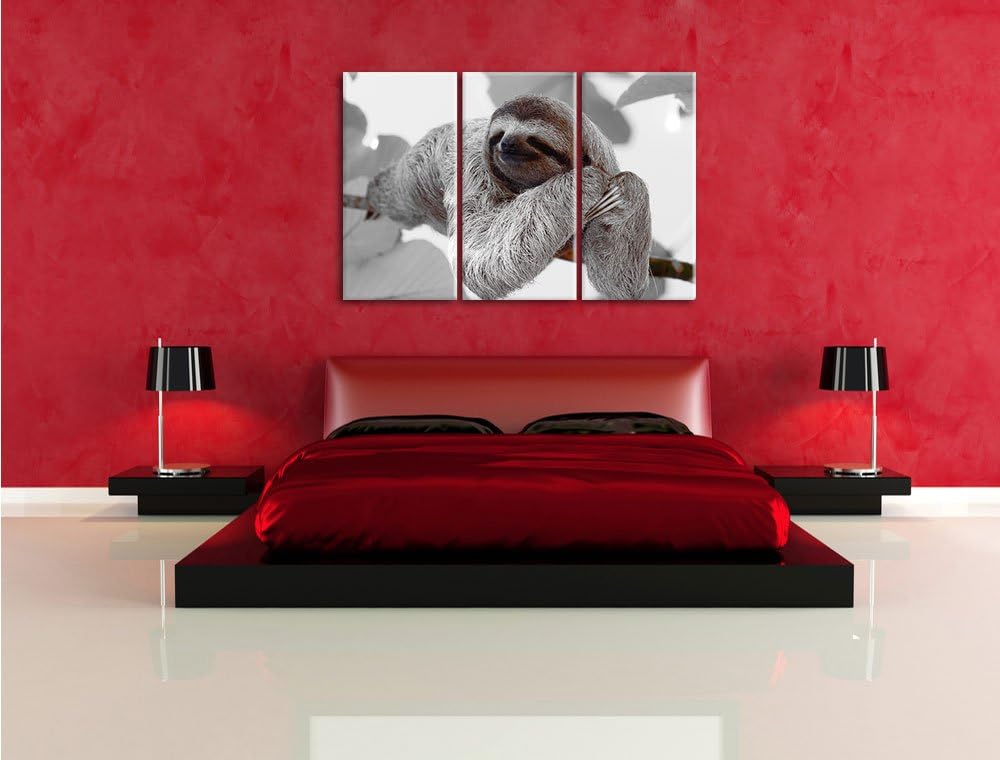 Pixxprint schönes Faultier hängt von AST als Leinwandbild/Grösse: 3 Teilig (120x80) / Wandbild/Kunst