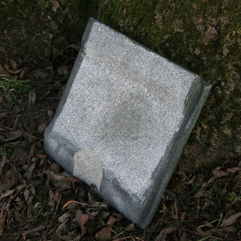 Fledermaus Grossraumkasten für Kleinfledermäuse aus Holzbeton | Fledermausquartier | Fledermauswoche
