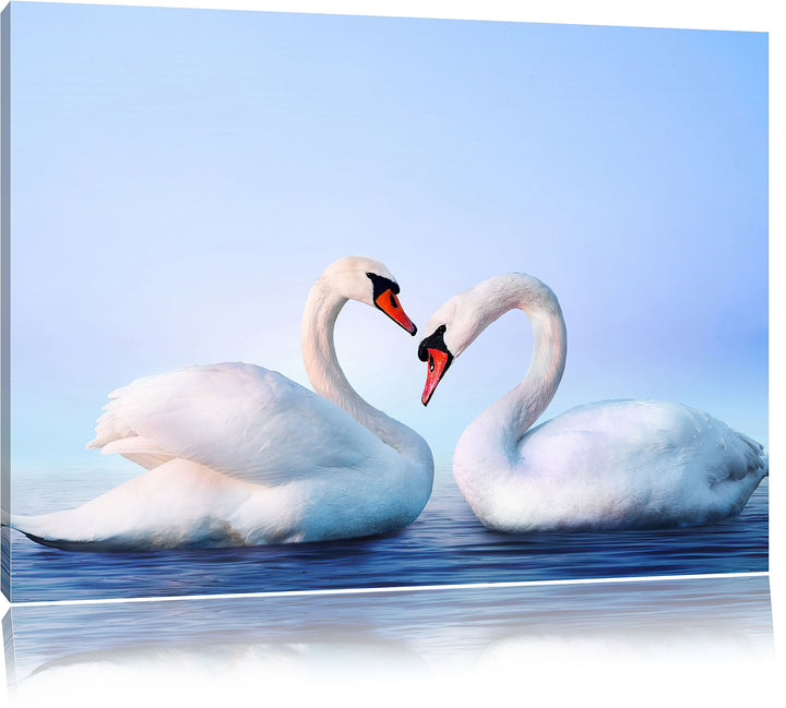 Pixxprint Zwei prächtige Schwäne auf dem Wasser, Format: 100x70 auf Leinwand, 100x70