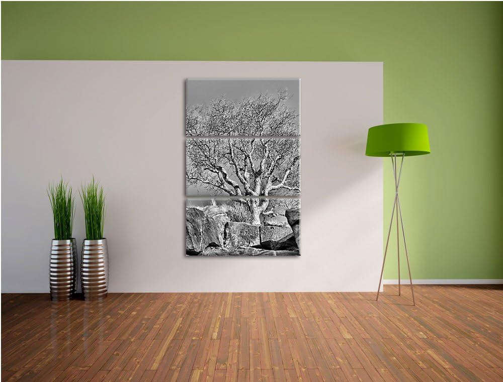 Pixxprint Monocrome, einsamer Baum im Gebirge 3-Teiler Leinwandbild 120x80 Bild auf Leinwand