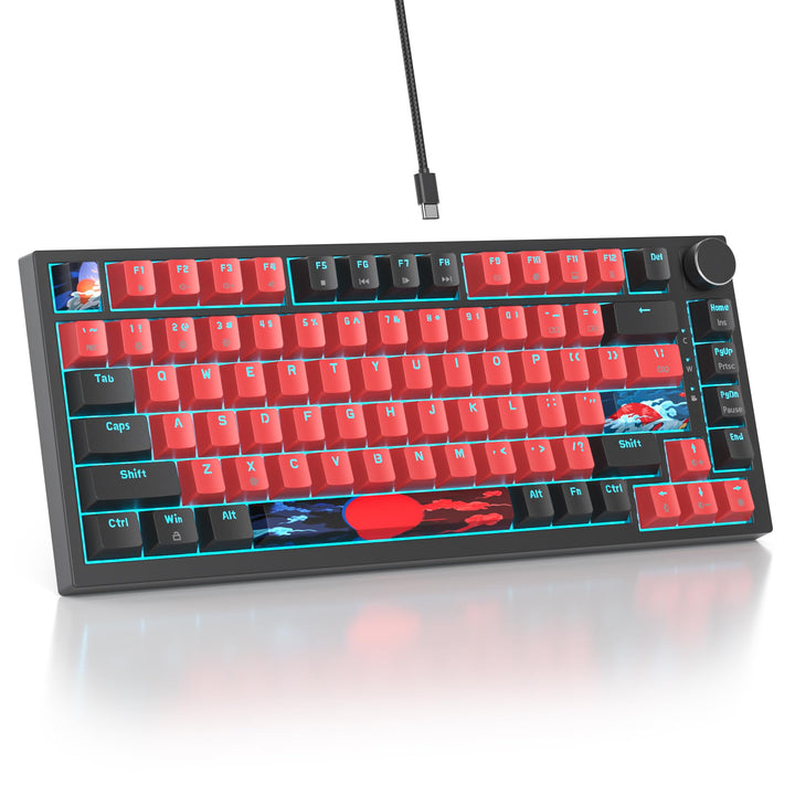 SOLIDEE Verkabelte 75% Mechanische Gaming-Tastatur,hot-swap-fähige Mechanische Tastatur mit Gasket S