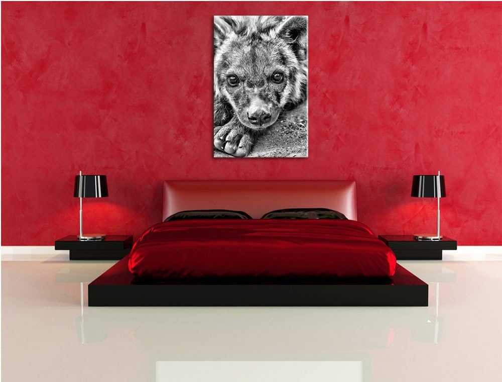 Pixxprint Monocrome, niedliche Hyäne, Format: 100x70 auf Leinwand, 100x70