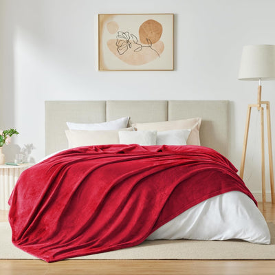 WAVVE Kuscheldecke Flauschig Decke Fleecedecke - Sofadecke Klein Wohndecke Couchdecke, Decke Sofa We