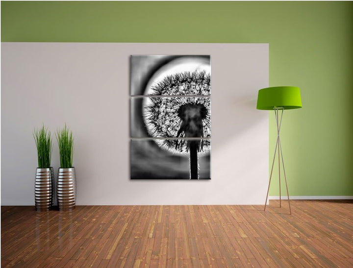 Pixxprint Pusteblume als Leinwandbild/Grösse: 3 Teilig (120x80) cm/Wandbild/Kunstdruck/fertig bespan