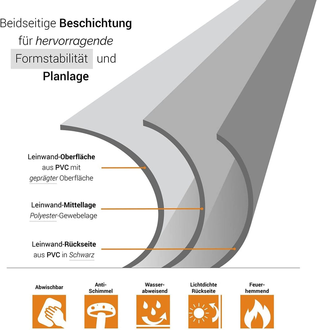 celexon tragbare Beamer-Leinwand mit vormontiertem Ständer Mobile Stativ-Leinwand mit Tragegriff Sch