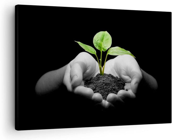 Bilder auf Leinwand Natur Pflanze Wissenschaft Schutz Leinwandbild 70x50cm Wandbilder Dekoration Woh