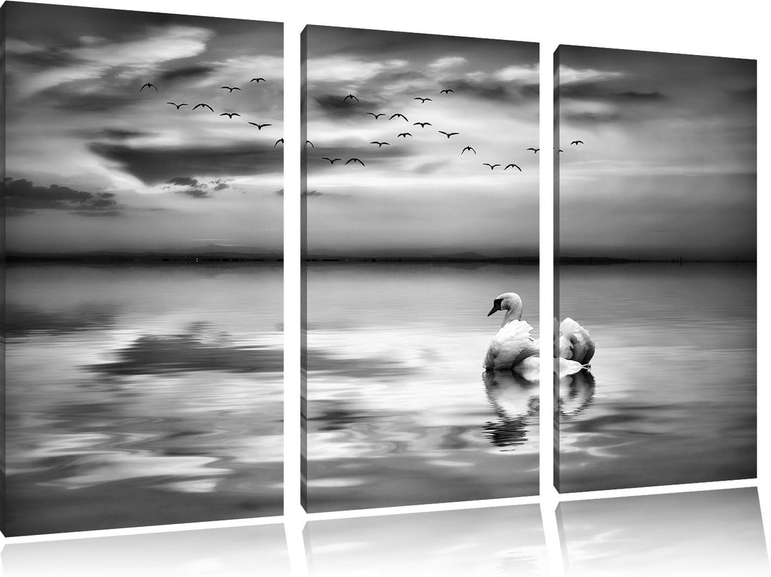 Pixxprint Schwan bei Sonnenuntergang als Leinwandbild/Grösse: 3 Teilig (120x80) cm/Wandbild/Kunstdru