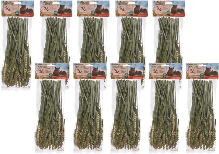 Dehner Best Nature Nagersnack, Weizenhalme, 10 x 75 g (750 g) Weizenhalme 75 g (10er Pack), Weizenha