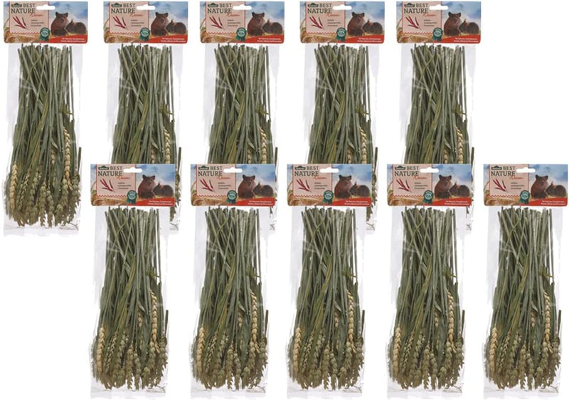 Dehner Best Nature Nagersnack, Weizenhalme, 10 x 75 g (750 g) Weizenhalme 75 g (10er Pack), Weizenha