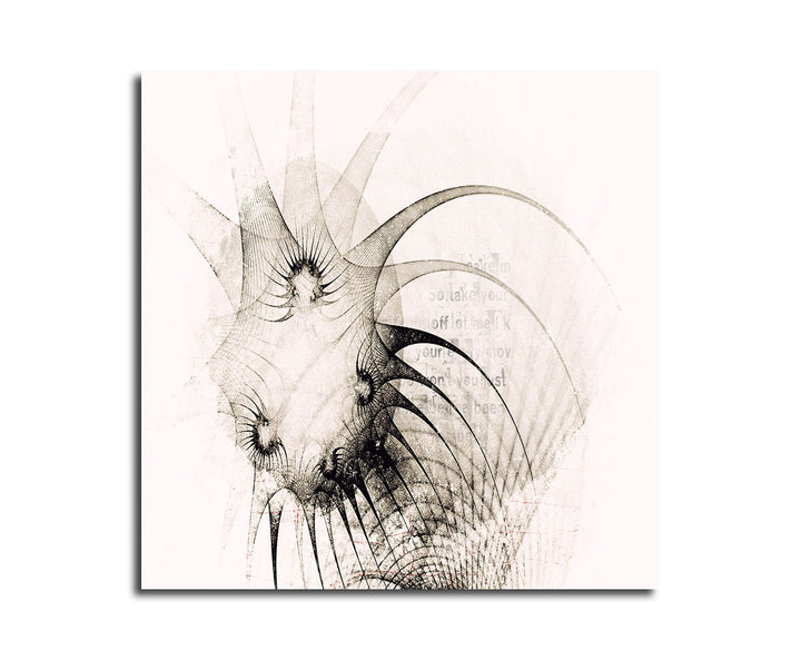 Paul Sinus Art Kunstdruck schwarz weiss Abstrakt499_60x60cm Leinwandbild - Triste Siege -XXL fertig