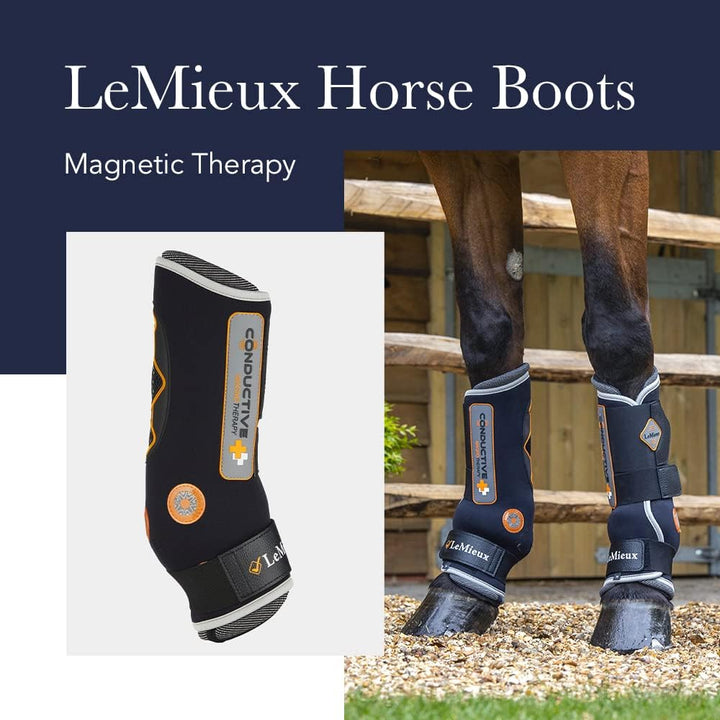 LeMieux Leitfähige Magno Stiefel XL Schwarze leitfähige Magno, XL Schwarze leitfähige Magno