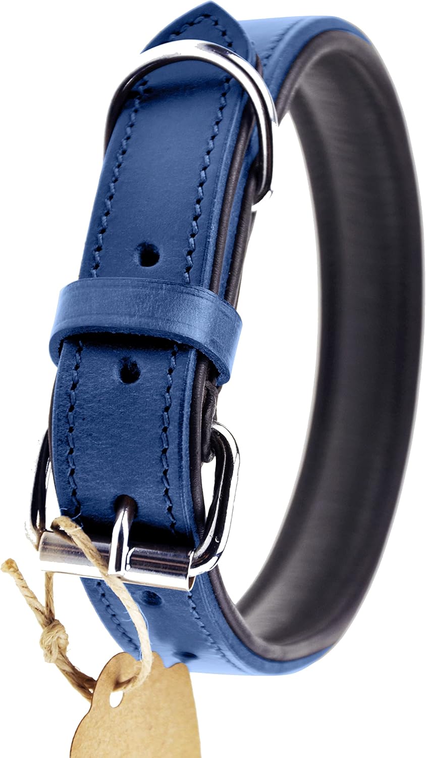 Schnüffelfreunde Halsband für Hunde aus Leder, Hundehalsband für den grossen, mittleren und kleinen