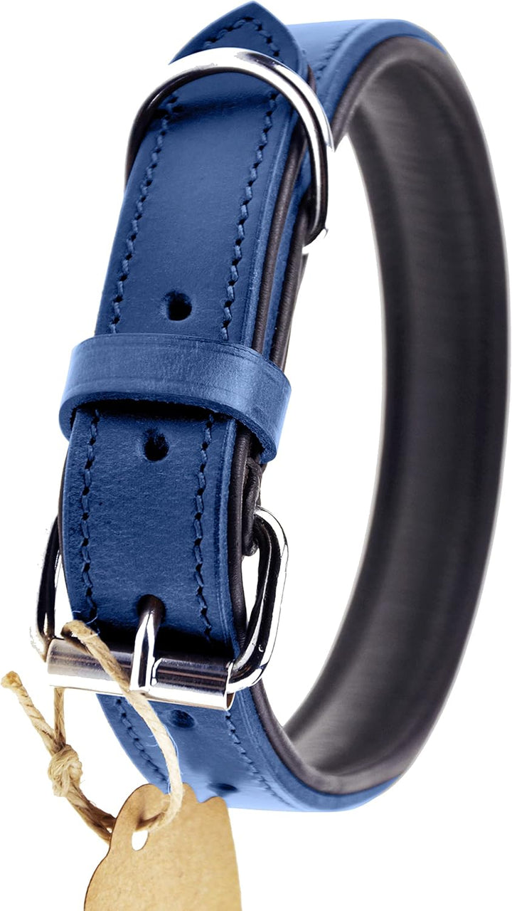Schnüffelfreunde Halsband für Hunde aus Leder, Hundehalsband für den grossen, mittleren und kleinen