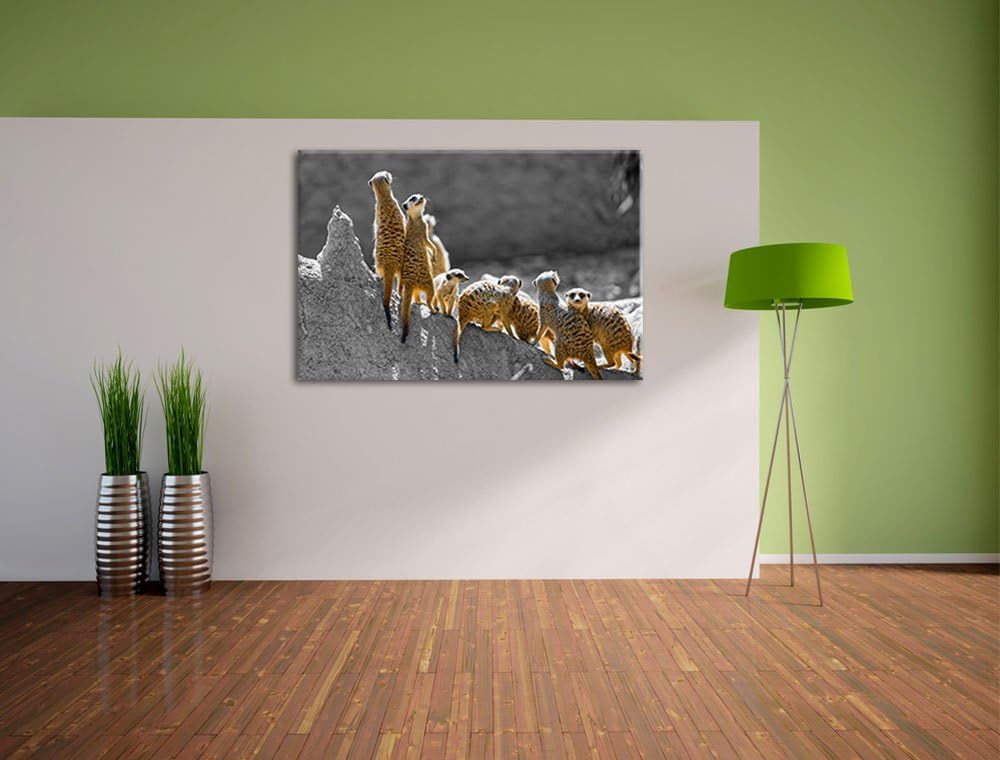 grosse liebevolle Erdmännchenfamilie schwarz/weiss auf Leinwand, XXL riesige Bilder fertig gerahmt m