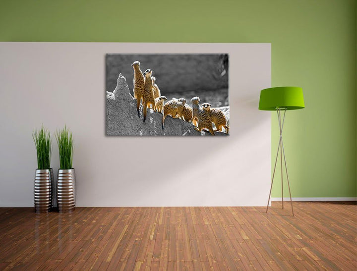 grosse liebevolle Erdmännchenfamilie schwarz/weiss auf Leinwand, XXL riesige Bilder fertig gerahmt m