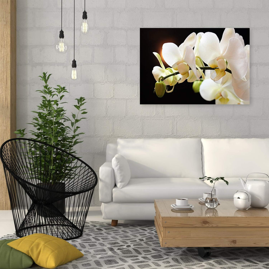 Feeby Wandbild Blumen Druckbild Leinwandbild für Schlafzimmer Weiss 100x70 cm Leinwandbild 100x70 cm