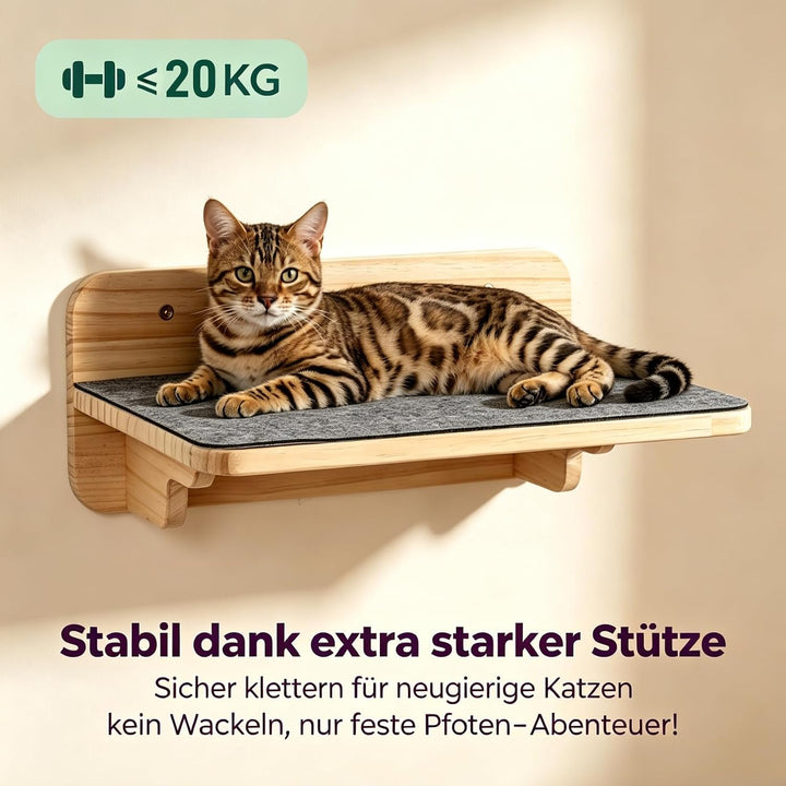 Katzentreppe Wand Holz 4er-Set Kletterwand frei Kombinierbar | Katzen Wandelemente inkl. 1 Plattform