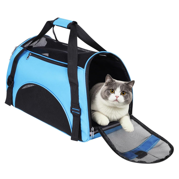 Hundetasche Netzgewebe Atmungsaktiv Katzentransportbox Faltbar Hundetragetasche Waschbar Matte Klein