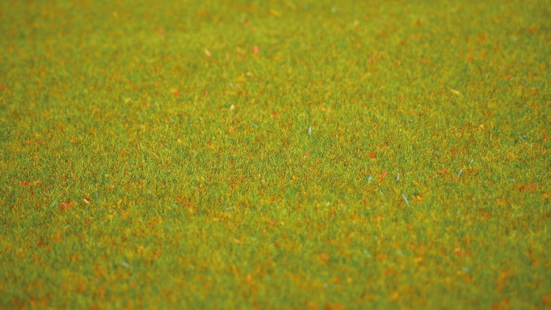 Noch 11 Noch 00011-Grasmatte Blumenwiese, 200 x 100 cm, 14 Jahre to 99 Jahre