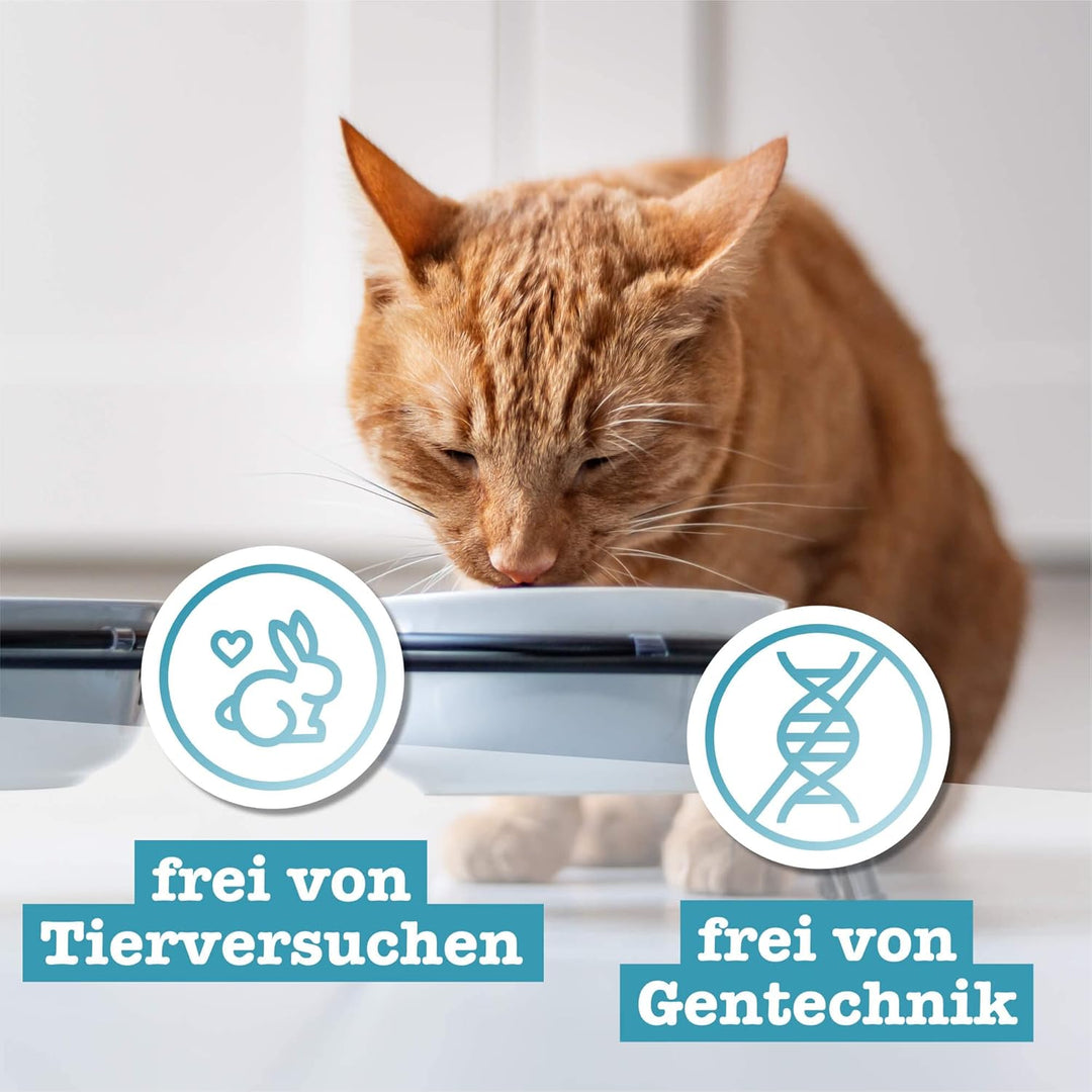 catz finefood N° 13 Hering &amp; Shrimps Feinkost Katzenfutter nass, verfeinert mit Kürbis &amp; Aloe Vera,