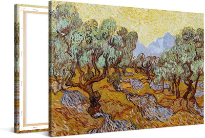 PICANOVA – Vincent Van Gogh Olive Trees 60x40 cm – Bild auf Leinwand – Leinwandbild – Premium Leinwa