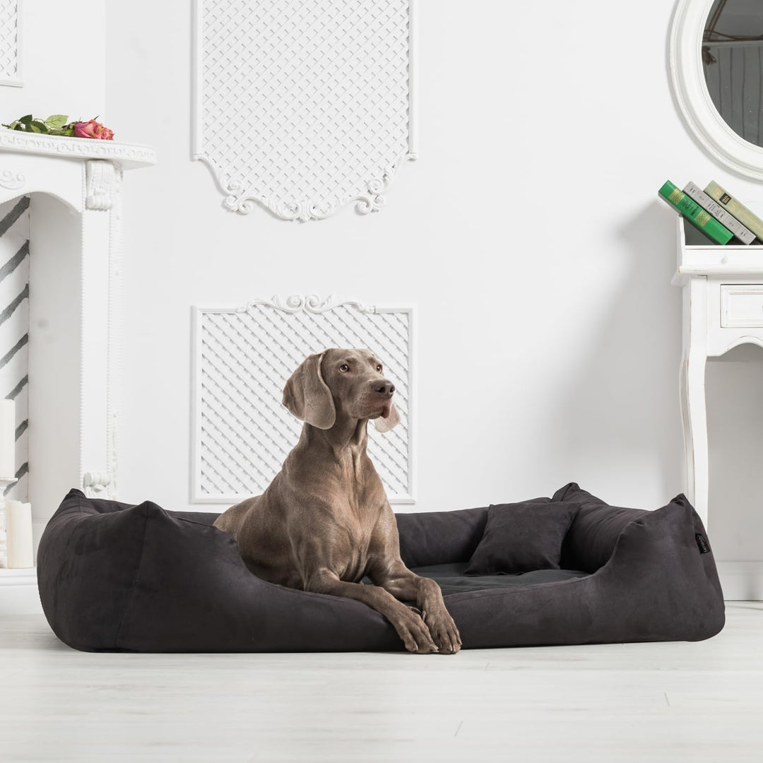 tierlando® Orthopädisches Hundebett Pluto Ortho VISCO Viscoschaum aus weichem Velours Grösse: PLV3 9
