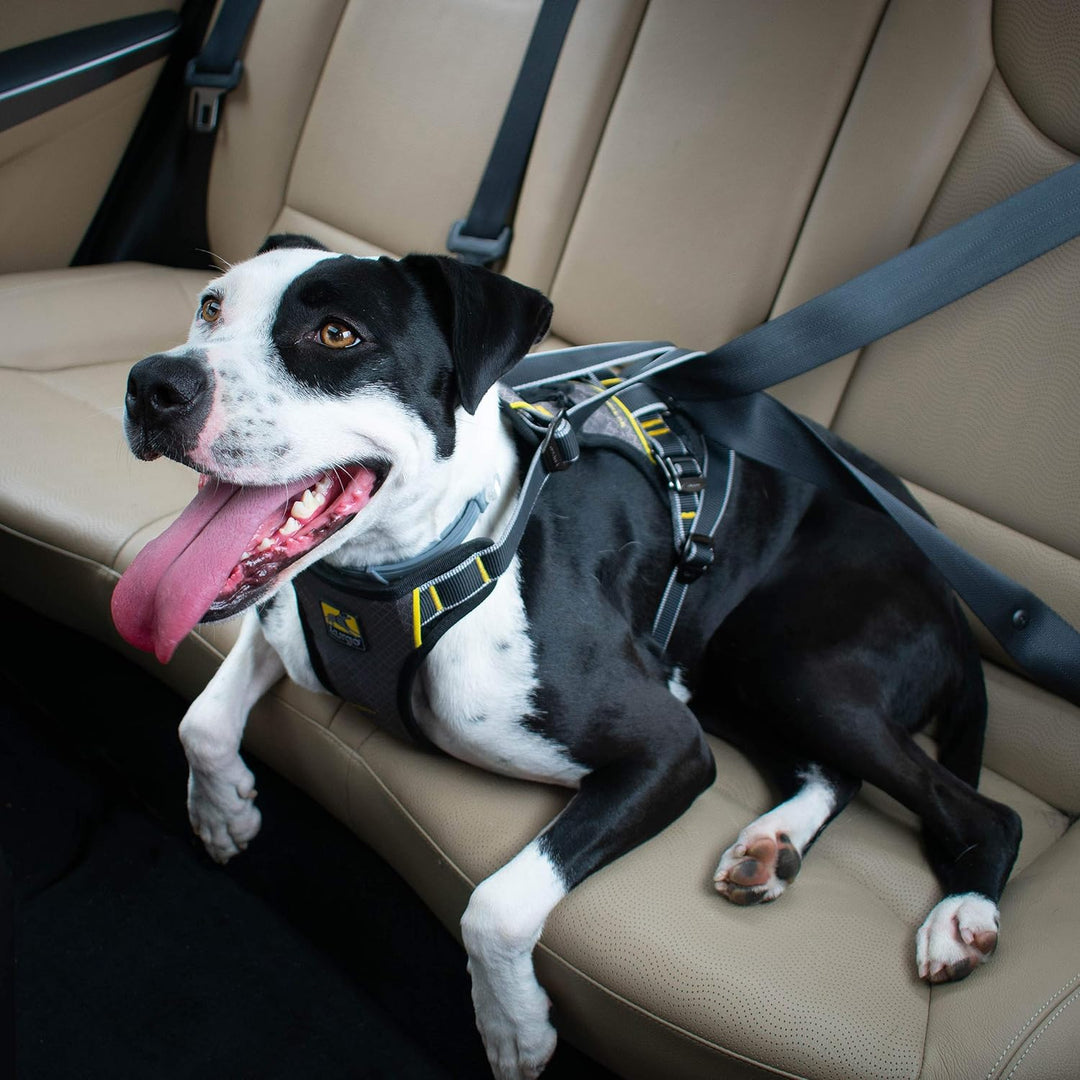 Kurgo Impact Hunde-Autogeschirr, Crashtest-geprüft für mehr Sicherheit, Für Hunde von 23-34 kg geeig