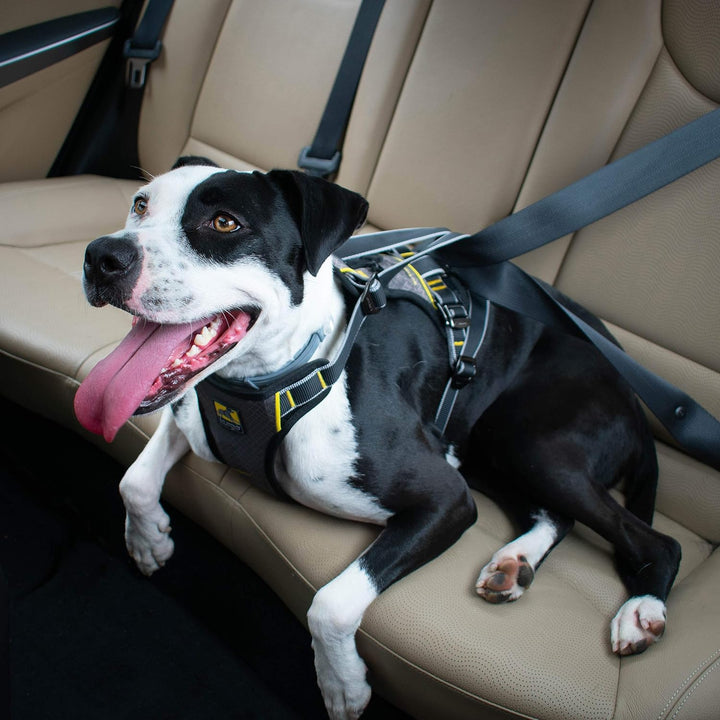 Kurgo Impact Hunde-Autogeschirr, Crashtest-geprüft für mehr Sicherheit, Für Hunde von 34-47 kg geeig