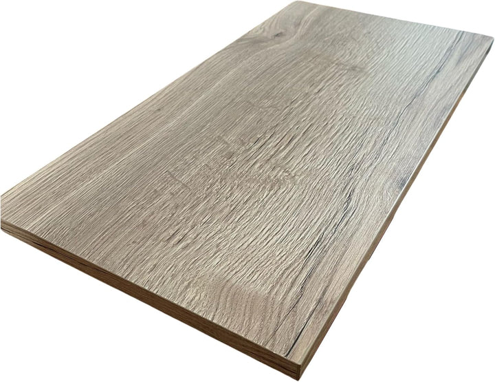 2 Stück Regalboden Einlegeboden WILD-EICHE 567 x 290 mm (L 56,7 cm x B 29,0 cm) Fachboden für 60 cm