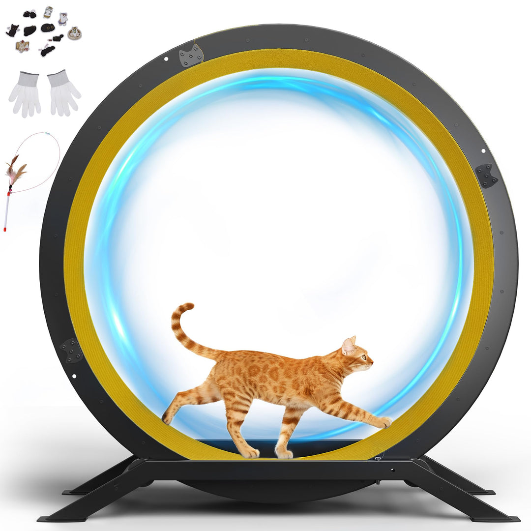 GTPLAYER Katzenlaufrad, laufrad Katze, Extra grosser 100 cm, ultraleises Laufrad mit Abnehmbarer Tep