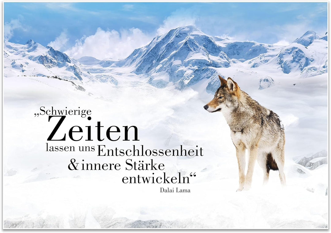 wandmotiv24 Poster als Wanddeko, Grösse 100x70cm, Wolf in den Bergen, Entschlossenheit, Wölfe, Tiere