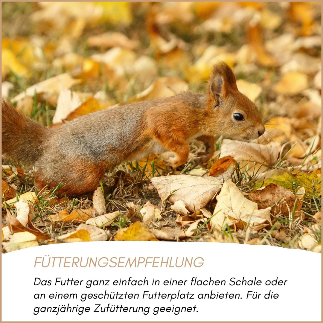 Supravit Artgerechtes Eichhörnchen Futter 1kg | Ausgewogenes Eichhörnchen-Futter mit Haselnüsse & Wa