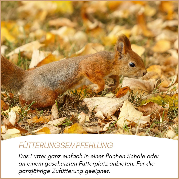Supravit Artgerechtes Eichhörnchen Futter 1kg | Ausgewogenes Eichhörnchen-Futter mit Haselnüsse & Wa