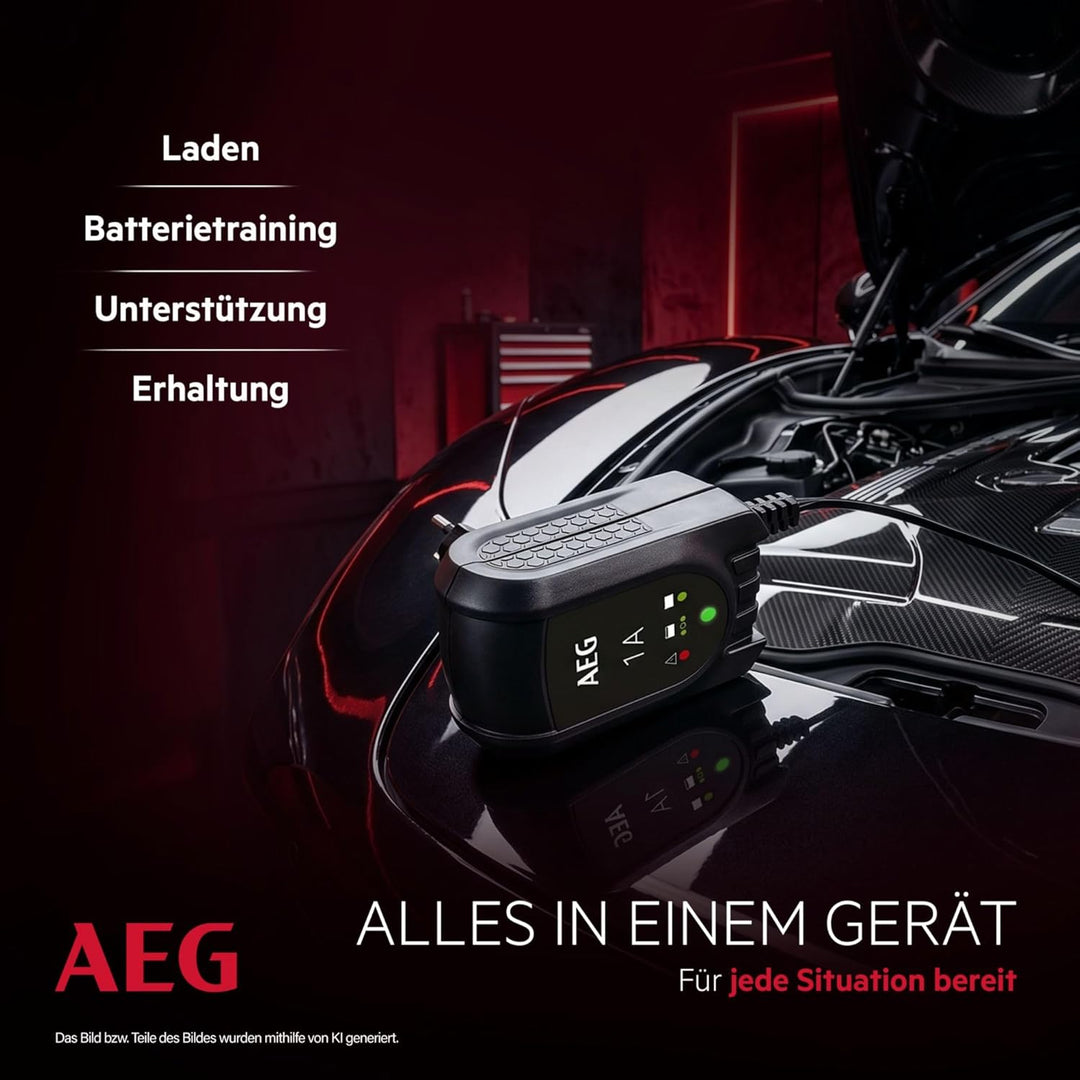 AEG Automotive 97175 Microprozessor Batteriepulser MB 1.0, 12 Volt Batterietrainer 4 stufig, Dauerer