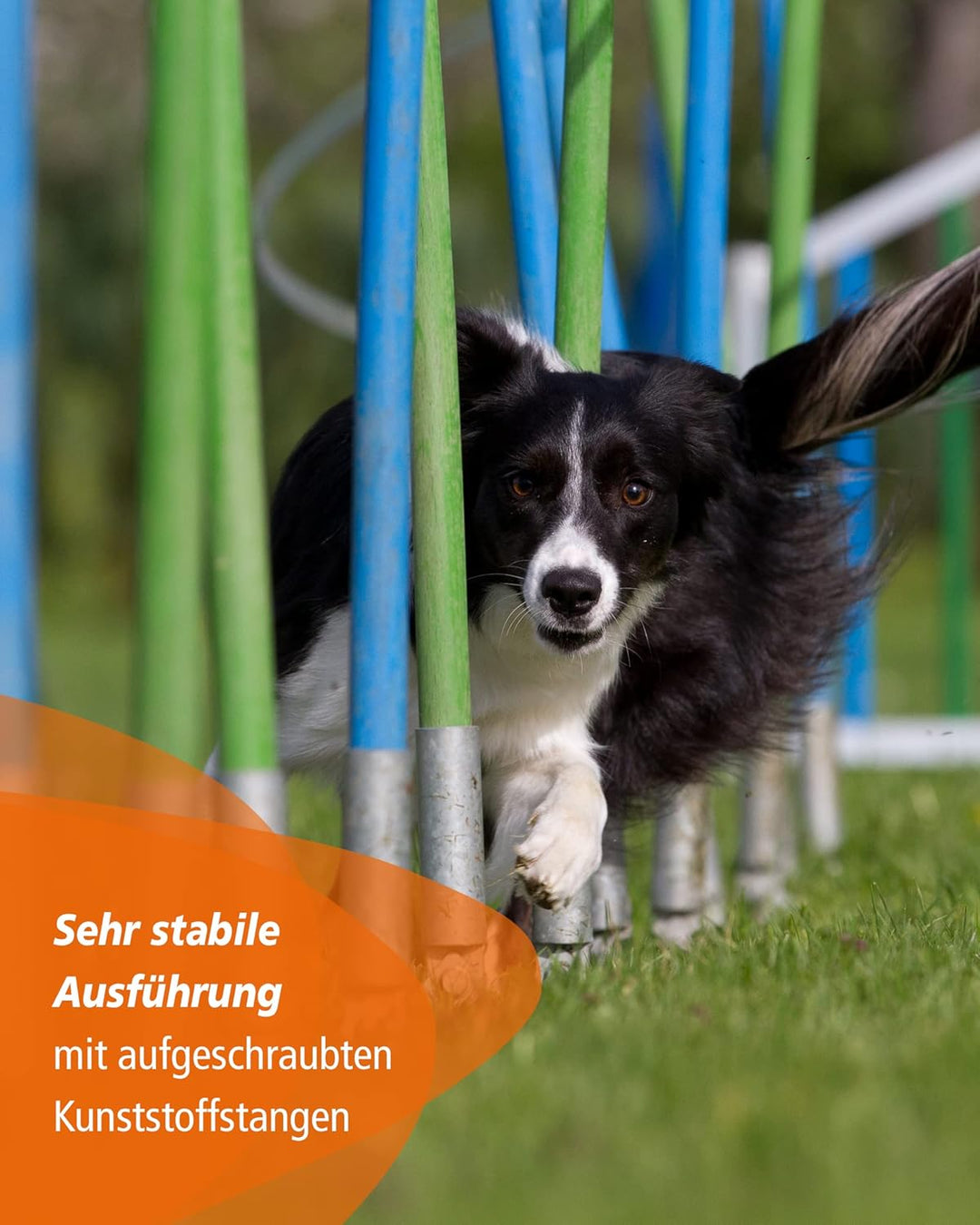 Agility-Slalom – Slalom für Turnier & Agility-Training – mit 12 Stangen & und Basis aus Metall – sta