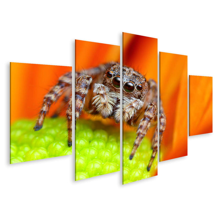 islandburner Bild auf Leinwand Springende Spinne Blume Bilder Wandbilder Poster Leinwand 170x80cm -
