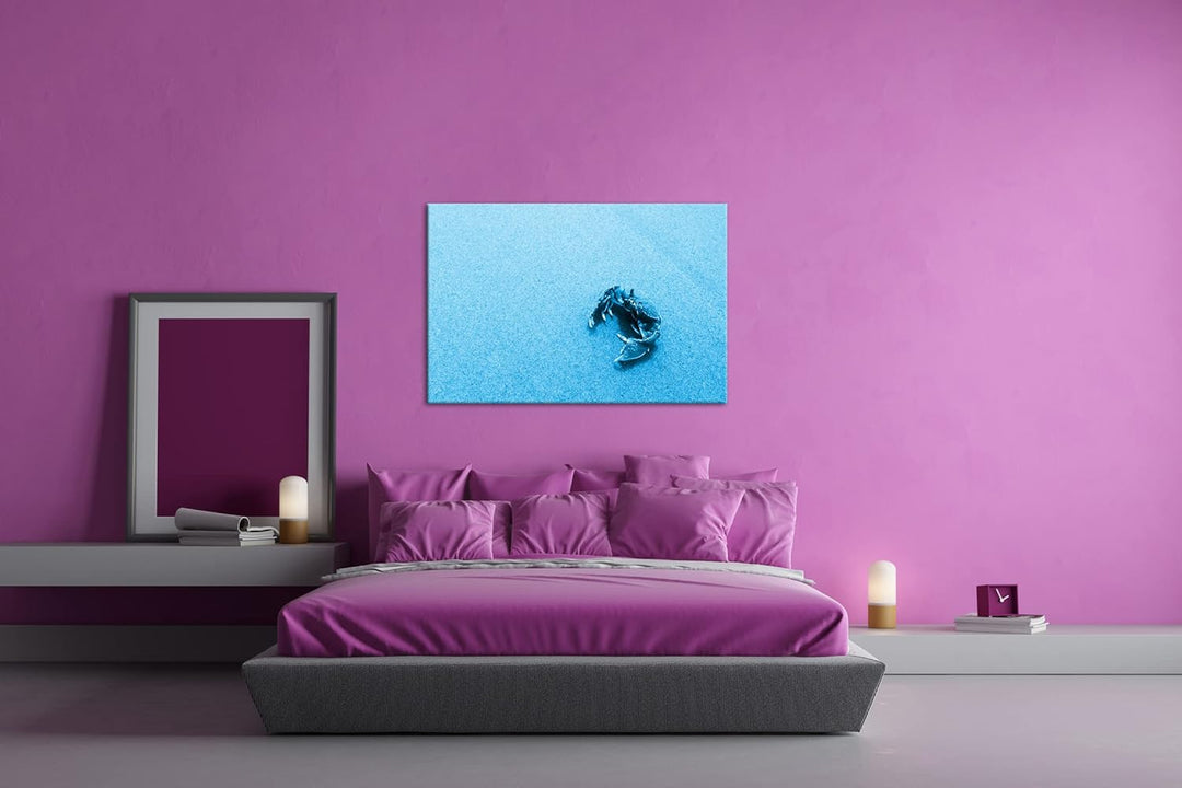 deyoli rote Krabbe im Sand Format 80x60 Effekt: Monocrome Blau als Leinwandbild, Motiv fertig gerahm