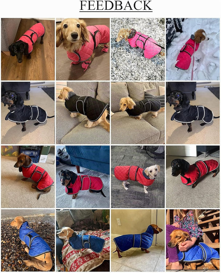 Geyecete - Warmer wintermantel für dackel Hunde,Hunde Winterjacken mit plüschfutter,Outdoor jacken m
