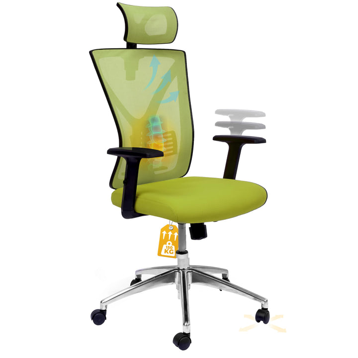 Bürostuhl Zeus (Grün) – Bürostuhl ergonomisch und komfortabel inkl. Verstellbarer Lordosenstütze & k