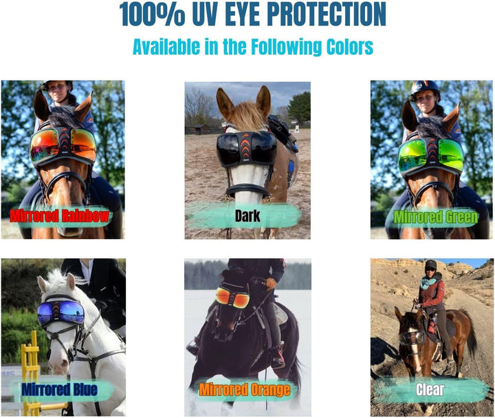 EQUICK Brille Pferd eVysor