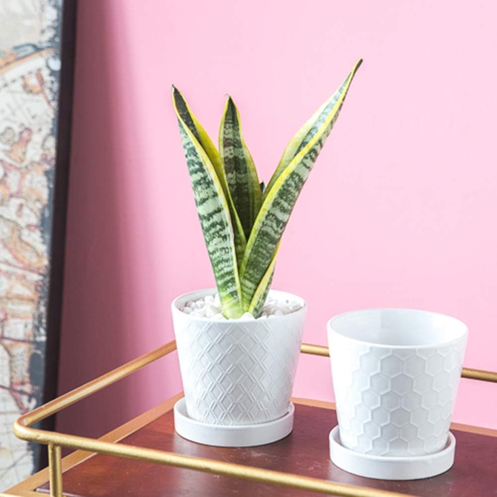 Buymax Blumentöpfe für den Innenbereich, 12.7 cm, Keramik-Blumentopf mit Ablaufloch und Keramik-Tabl