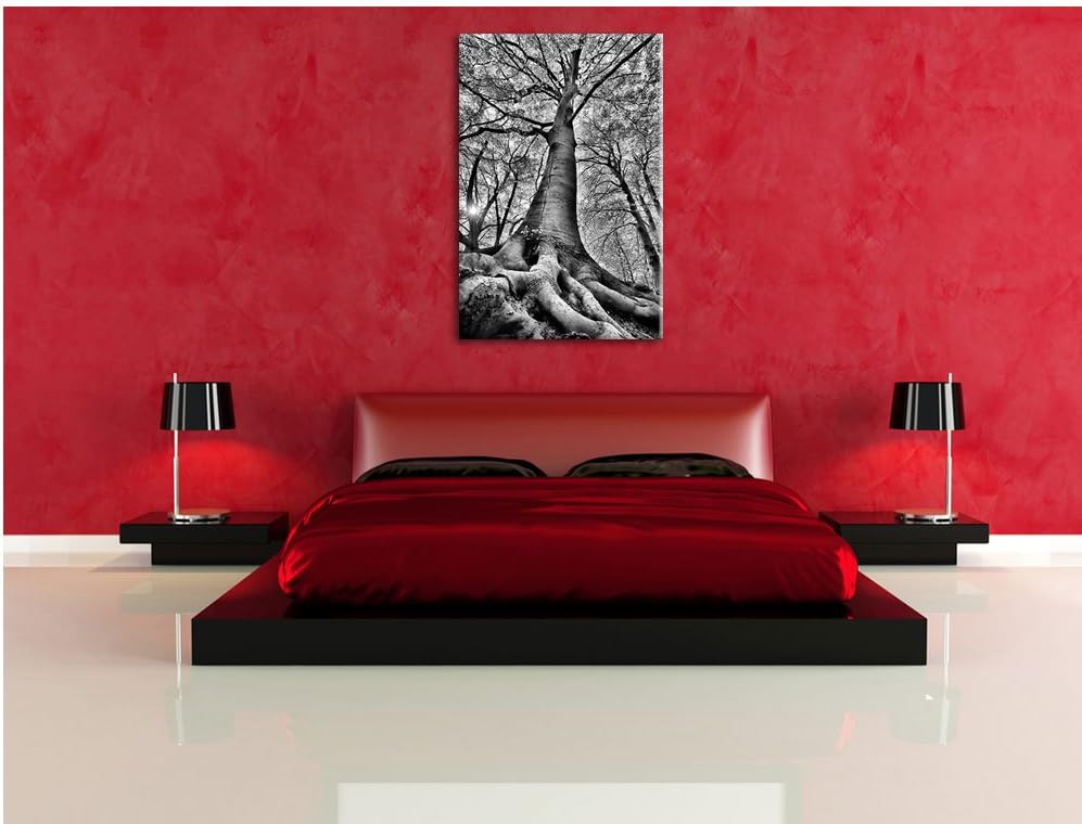 Pixxprint Riesiger Baum im Dschungel / 100x70cm Leinwandbild bespannt auf Holzrahmen/Wandbild Kunstd