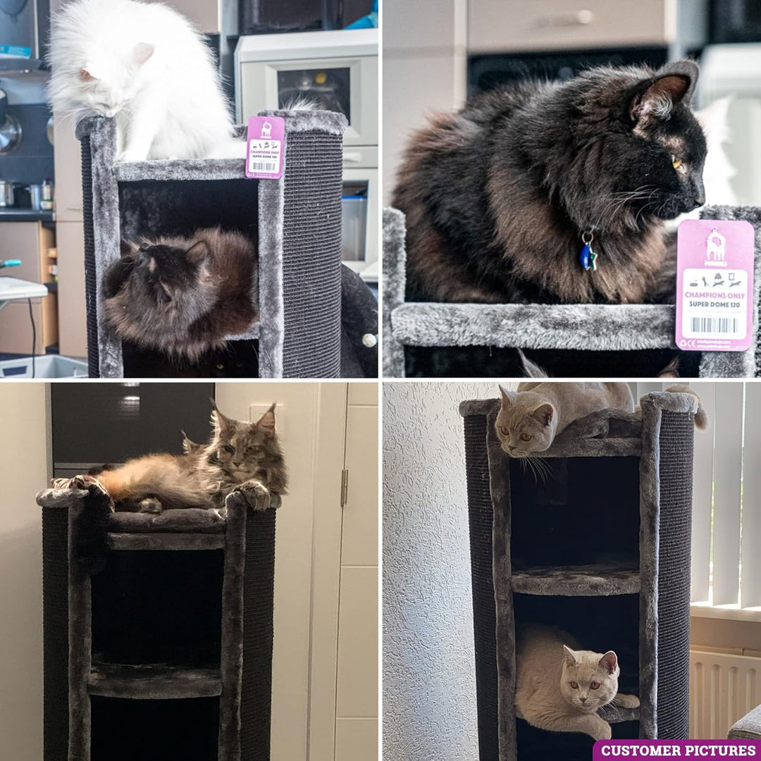 Petrebels Kratztonne XXL Superdome 120 cm hoch, Ø 50 cm, Design Kratztonne für grosse Katzen, extra