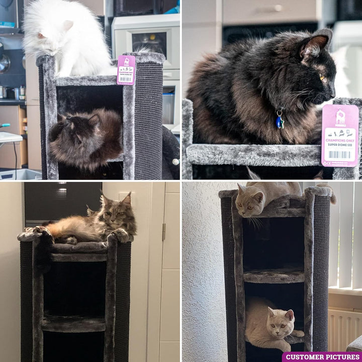Petrebels Kratztonne XXL Superdome 120 cm hoch, Ø 50 cm, Design Kratztonne für grosse Katzen, extra