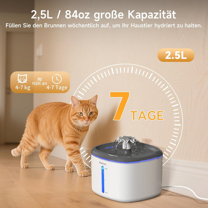 Trinkbrunnen für Katze, 2,5L Katzenbrunnen Leise mit 2 Ersatzfiltern und LED-Wasserstandsfenster für