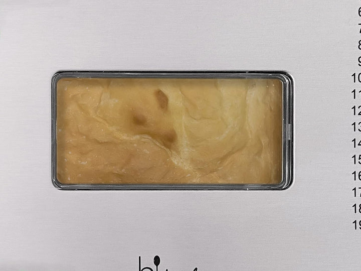 Silva-Homeline bake 501 Brotbackautomat, 19 Backprogramme, 650W, Edelstahl,