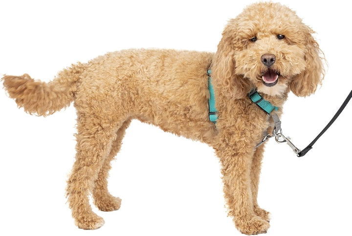 PetSafe 3-in-1 Hundegeschirr, Anti-Zieh, Hundegeschirr für Autogurt, Hundegeschirr Auto, Anti-Zug Hu