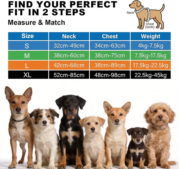Hundegeschirr mit Griff， mittelgrosse & Grosse Hunde - Hunde Geschirr，Atmungsaktiv Reflexstreifen Br