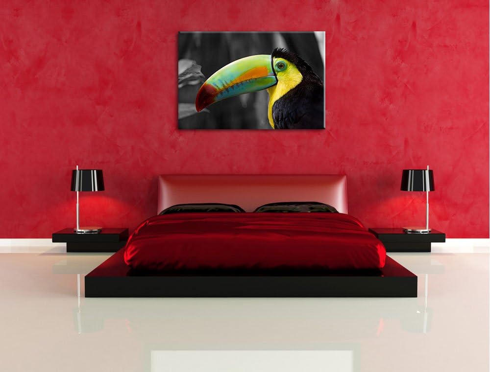 schöner stolzer Tukan schwarz/weiss auf Leinwand, XXL riesige Bilder fertig gerahmt mit Keilrahmen,